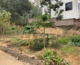 CƠ HỘI SỞ HỮU LÔ ĐẤT VUÔNG VẮN 70m2 TẠI THÔN CHÈ