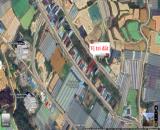 ❗️BÁN ĐẤT L35 KQH NGUYỄN HOÀNG – P7, ĐÀ LẠT (củ)