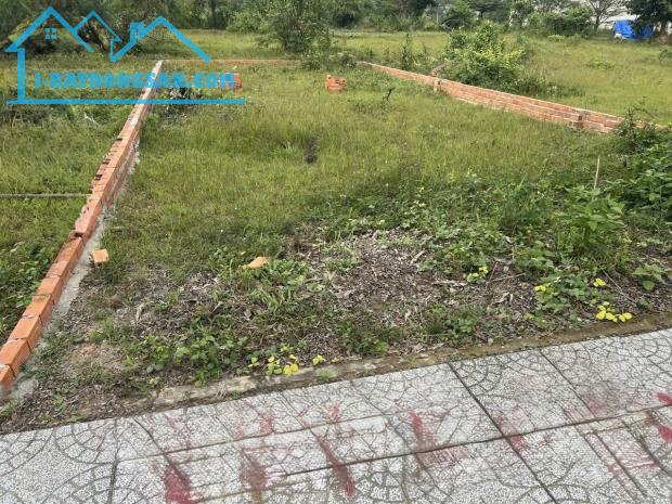 D29 | BÁN ĐẤT FULL THỔ CƯ NGAY CỔNG KCN LONG THÀNH – CHỈ 1,55 TỶ - 2
