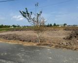 Hot : 6 lô thổ cư liền kề mt đường nhựa , Bình Trinh Đông , Tân Trụ dt 130m2 giá 850tr/lô