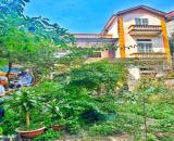 [CỰC HIẾM] Bán khu nhà đất 400m2 trung tâm P. Phan Đình Phùng