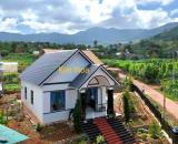 Cần Bán Nhà Vườn Đông Thanh 661m² Mặt Tiền 40m, Full Nội Thất Gần Đà Lạt