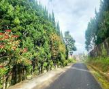 BÁN LÔ ĐẤT MẶT TIỀN HOÀNG VĂN THỤ, ĐÀ LẠT 269m2 chỉ còn 11,9 tỷ