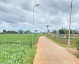 Đất phú hội cũ, đức trọng, lâm đồng, gần gara oto lương thành quốc