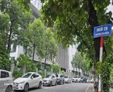 Bán Nhà Phố Ông Ích Khiêm, Ba Đình, 56m2 x 4 tầng, Sổ riêng, Khu an ninh dân trí tuyệt vời