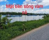 Bán đất vườn view sông Vàm Cỏ Đông , xã Thạnh Hòa, Bến Lức dt 1000m2 giá 1,55 tỷ