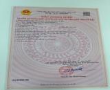 CHÍNH CHỦ BÁN CĂN HỘ CHUNG CƯ 2N N10 THỊNH LIỆT - CĂN GÓC 2 MẶT THOÁNG - GIÁ 4,250 TỶ
