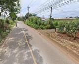 Bán đất 151m2 đất tổ 34 thị trấn Liên Nghĩa Đức trọng Lâm Đồng Giá 1 tỷ 500 triệu