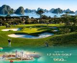 biệt thự song lập vin hạ long xanh biểu tượng mới bên vịnh di sản