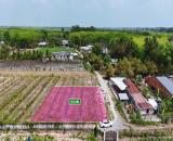 Gò Dầu bán đất (5x24) full thổ cư gần KCN Hiệp Thạnh cách QL22B hơn 3km giá 299tr