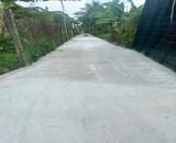 Bán 2 nền thổ cư ngã tư An Lái , Tân Bình,  Tân Trụ dt 114m2-120m2 giá 650-750 triệu