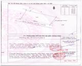 CHÍNH CHỦ CẦN BÁN GẤP ĐẤT MẶT TIỀN ĐƯỜNG NHỰA XUÂN THÀNH – SUỐI CAO, XÃ XUÂN THÀNH, HUYỆN