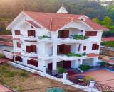 cần chuyển nhượng nhà gắn liền trên đất Thuỷ Nguyên- Hải Phòng- Khu vực đường to ô tô tải