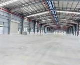 CHO THUÊ NHÀ XƯỞNG SẢN XUẤT ( giá tốt ) , XƯỞNG MỚI 100% GẦN CTY HAVAS ,P - TRẢNG DÀI ,ĐỒN