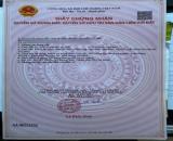 Đất Phước Hải- Đất Vị Trí Đẹp - Gần Biển chỉ từ 1.65tỷ
