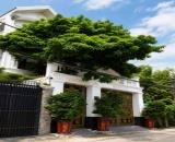 NHÀ BIỆT THỰ GÒ DẦU - P .TÂN SƠN NHÌ - 4 TẦNG - NỘI THẤT CAO CẤP - DT170M (7*24) GIÁ 28 TỶ