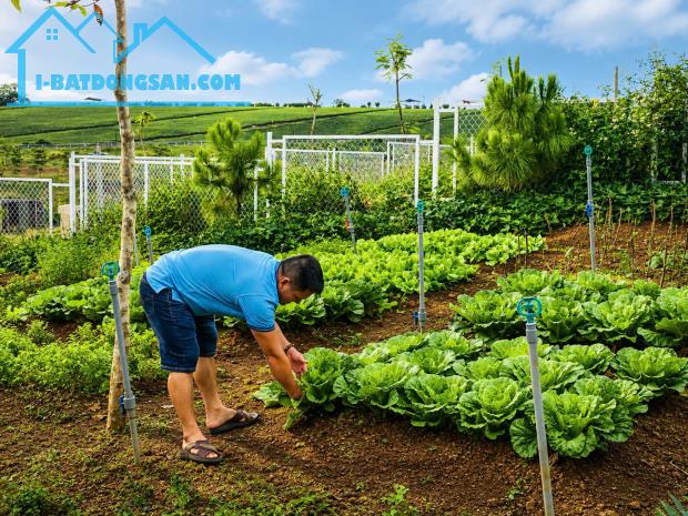 chính chủ bán gấp 200m2 view hồ ngay trung tâm thành phố bảo lộc sẵn 100m2 thổ cư - 2