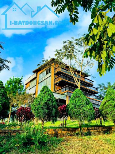 bán 200m2 nghỉ dưỡng view hồ ngay trung tâm thành phố bảo lộc giá ngộp - 3