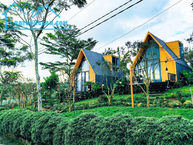 bán 200m2 nghỉ dưỡng view hồ ngay trung tâm thành phố bảo lộc giá ngộp - 4
