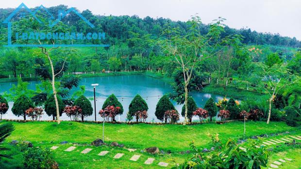 bán 200m2 nghỉ dưỡng view hồ ngay trung tâm thành phố bảo lộc giá ngộp - 5