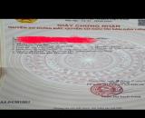 LÔ GÓC CÁCH BIỂN CHỈ 700M - TÁI ĐỊNH CƯ PHƯỚC HẢI 1.95ty PHÙ HỢP LÀM KHÁCH SẠN - HOMESTAY