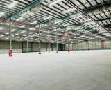 CHO THUÊ NHÀ XƯỞNG 27.000M² TẠI CẨM GIÀNG HẢI DƯƠNG