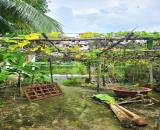 💋GẦN TAM ĐA- ĐẤT MẶT TIỀN 221m2 -💰6.x tỷ  👉NGANG 5.7M - XÂY MỚI 5 TẤM - View Sông