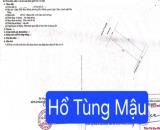 🔴💥Bán đất trục đường kinh doanh đường 10,5m Hồ Tùng Mậu