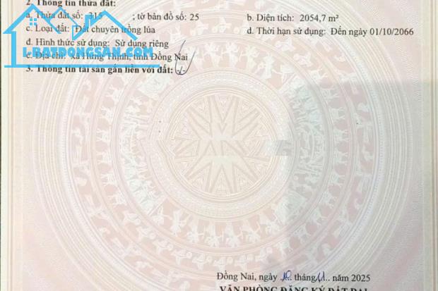 ⭐️Đầu tư sinh lời - Chính chủ bán 2 thửa đất liền kề tại xã Hưng Thịnh (H.Trảng Bom), ĐN - 1