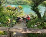 🌿 7 TRIỆU/M² – SỞ HỮU ĐẤT GIỮA ĐỒI CHÈ TAM CHÂU, BẢO LỘC 🌿