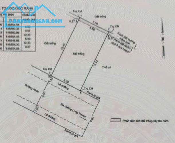 🏡 BÁN LÔ ĐẤT NGANG KHỦNG 6,5M – ĐƯỜNG XE HƠI 8M – LONG THUẬN, QUẬN 9