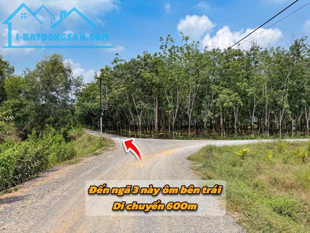 Tây Ninh bán lô đất 2400m sẵn thổ cư gần KCN Thạnh Đức, KDC đông sổ sẵn giá 999tr - 5