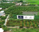 🔻265TR🔻🔻 5x25M FULL THỔ CƯ – CÁCH DT784 CHỈ 200M – GẦN TRƯỜNGTH THUẬN TÂN 🔥