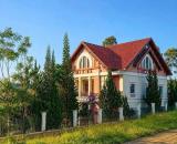 Cho thuê villla sân vườn 1000m2 Nguyễn Hữu Cảnh 12 phòng ngủ giá 48 triệu tại Đà Lạt
