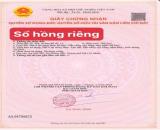 ĐẤT PHƯỚC HỘI CÁCH BIỂN PHƯỚC HẢI 4KM - NGANG 10m MẶT TIỀN ĐƯỜNG 2 Ô TÔ TRÁNH NHAU 920Tr