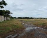 CHO THUÊ QUỸ ĐẤT SẢN XUẤT KINH DOANH HƠN 20.000M² – TRUNG AN, ĐỒNG THÁP (TIỀN GIANG CŨ)