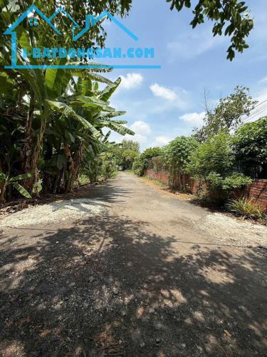 Hot! Gấp 1.181m² (20x57) gần Vinhomes Hóc Môn Chỉ 13,99 Tỷ – Ngang 20m, 2MT - 2