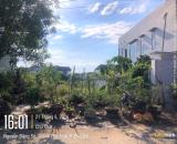 BÁN ĐẤT 200M2 KQH NGUYỄN KHOA VĂN, PHƯỜNG PHÚ BÀI, TP HUẾ, CHỈ 2,03 TỶ