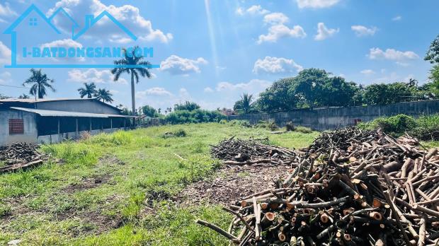 5.000m2 Đất An Nhơn Tây giá chỉ 1.3 triệu m2. - 1