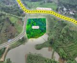 💥 CHỈ 1 LÔ DUY NHẤT! 7.000m² ĐẤT VIEW HỒ – TỰA NÚI – PHONG THỦY VƯỢNG KHÍ!