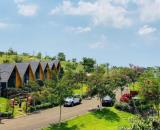 🔥 777 Triệu Có Ngay Đất Thổ Cư View Hồ 503m² Tại Bảo Lộc