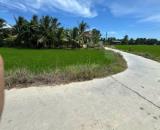 🔥 HƠN 1.000M² FULL THỔ CƯ – CHỈ 3 TRIỆU/M² TẠI PHƯỜNG NINH HÒA