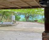 CHÍNH CHỦ BÁN GẤP TRANG TRẠI 12.415,7m² TẠI PHƯỜNG THỐNG NHẤT, TỈNH PHÚ THỌ – CHỈ CÁCH HÀ
