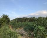 Bán 8863m3 siêu rẻ 160k/m2, xã Tân Minh, Lâm Đồng, có đường trên sổ sát bên cao tốc, KCN