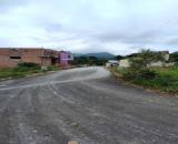Bán Đất Đường Biđoúp – Phường Langbiang, Tp. Đà Lạt – View Thông Đẹp, Thích Hợp Nghỉ Dưỡng