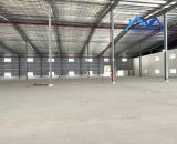 Cho thuê xưởng mới 100% KCN Nhơn Trạch, Đồng Nai