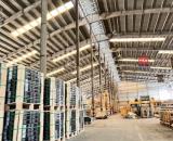 XT167 cho thuê xưởng sản xuất linh hoạt, thu hút DN FDI, EPE, khuôn viên SX Riêng