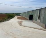 🏭 CHO THUÊ KHO XƯỞNG Nha Bích  DIỆN TÍCH 10.000M² – SẴN SÀNG KHAI THÁC  📍 Vị trí: Nha Bí
