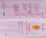 HOT HOT – CHÍNH CHỦ CẦN BÁN ĐẤT VỊ TRÍ ĐẸP  TẠI Xã THÁI MỸ, HUYỆN CỦ CHI, TP HCM