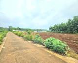 CẦN BÁN GẤP 1.200M2 ĐẤT 180TR NGAY KCN GẦN CHỢ DÂN ĐÔNG